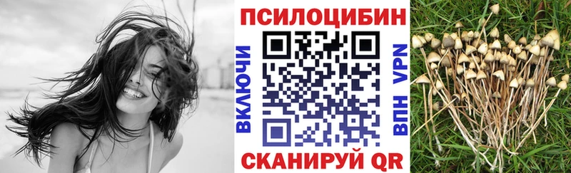 Псилоцибиновые грибы мухоморы  Сокол 